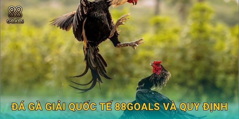 Đá gà giải quốc tế 88goals và quy định