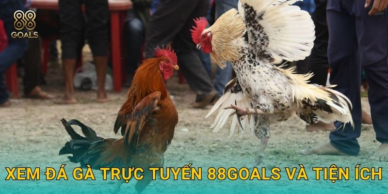 Xem đá gà trực tuyến 88goals và tiện ích