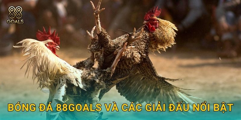 Bóng đá 88goals và các giải đấu nổi bật